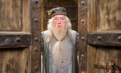 Michael Gambon : Les meilleures punchlines du rap français consacrée à Albus Dumbledore